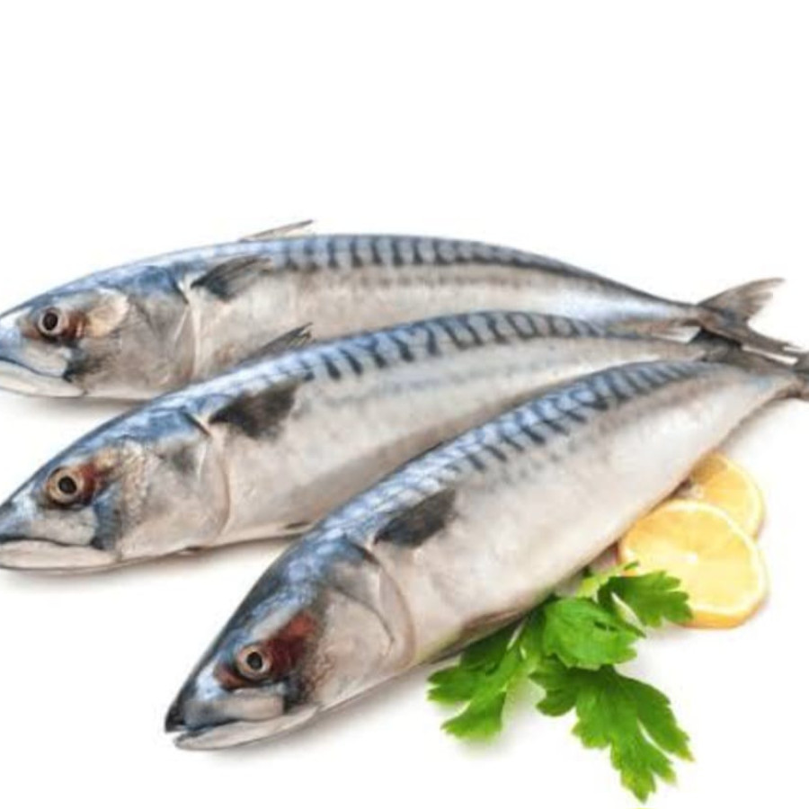 Ikan Tengiri