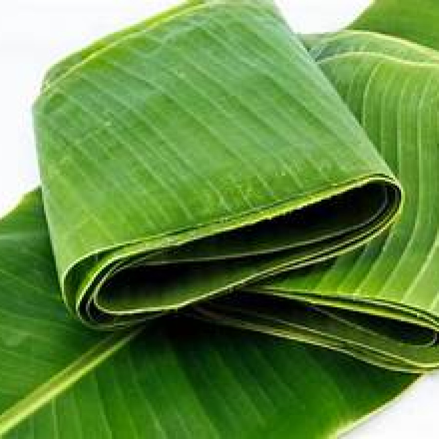 Daun Pisang