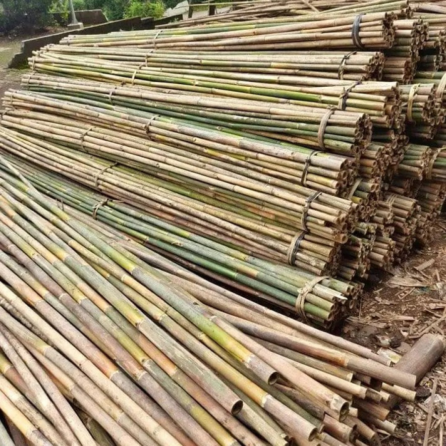 Bambu umbul umbul 7M