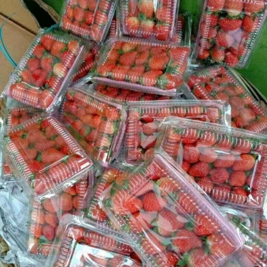 STRAWBERRY PER PACK