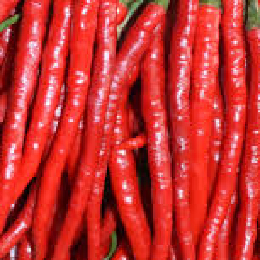 Cabai Merah