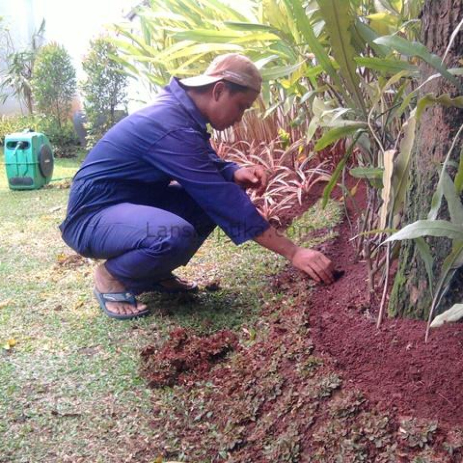 Jasa Pemeliharaan Taman