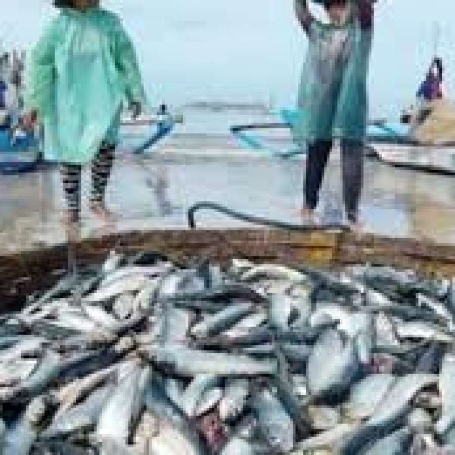 Jasa Event Organizer Kegiatan Kelautan dan Perikanan