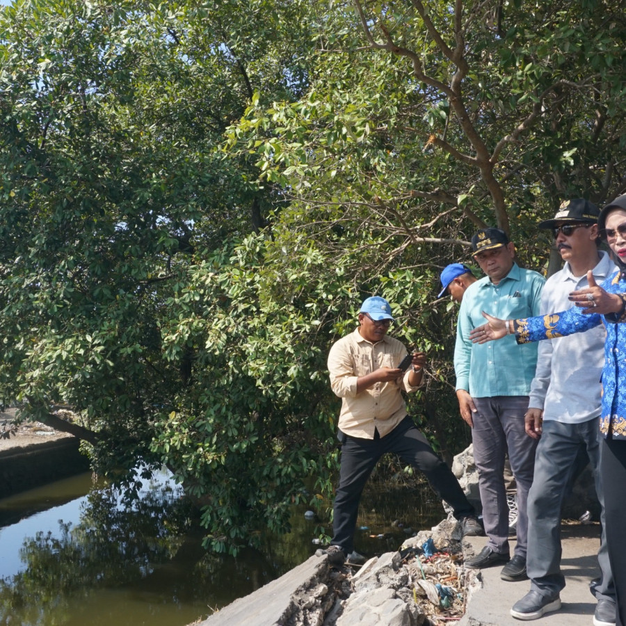 Komisi C Dukung Pembangunan Jembatan Ambruk Tambak Cemandi - depan