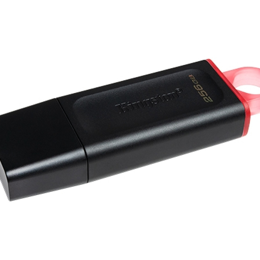 KINGSTON USB 256GB DTX