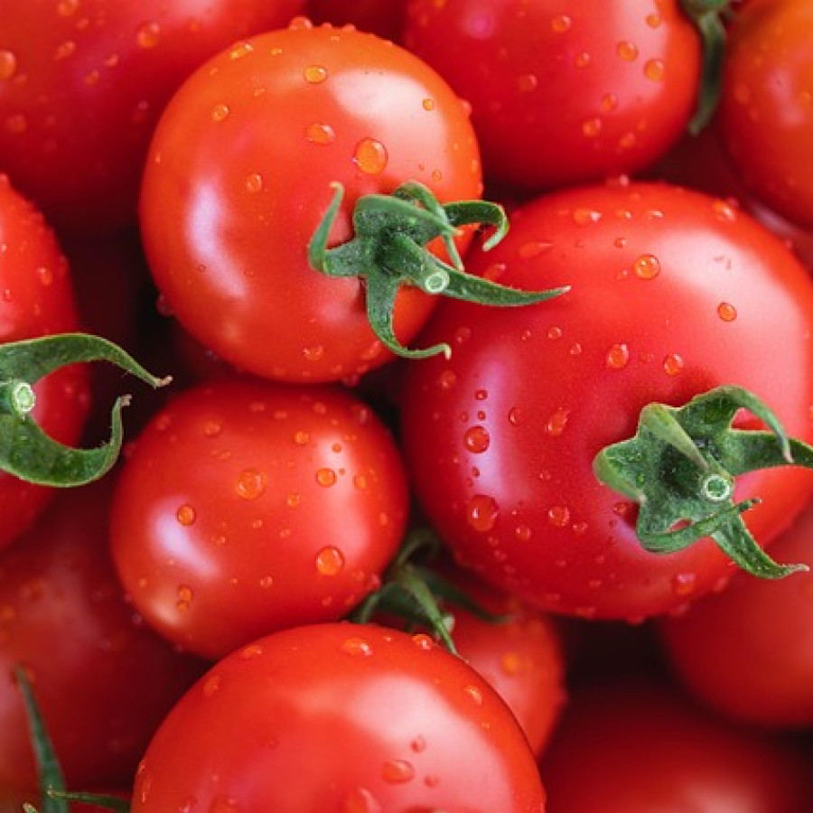 Tomat 1 Kg