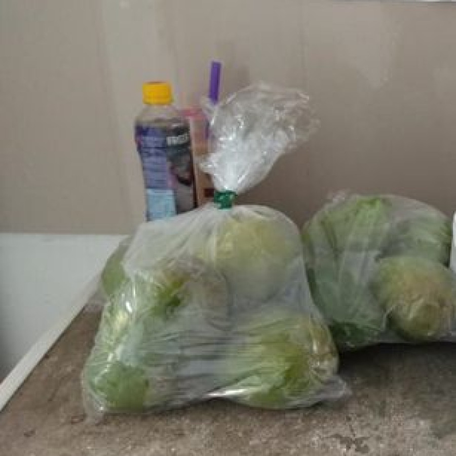 Mangga Harumanis