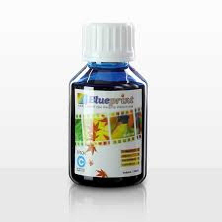tinta blueprint biru