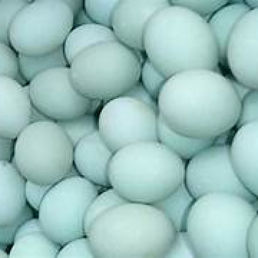 Telur Bebek