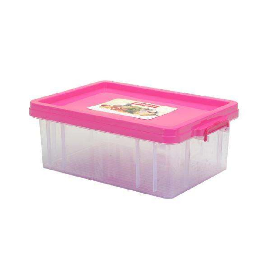 Box Container Lion Star FX-5 No.30