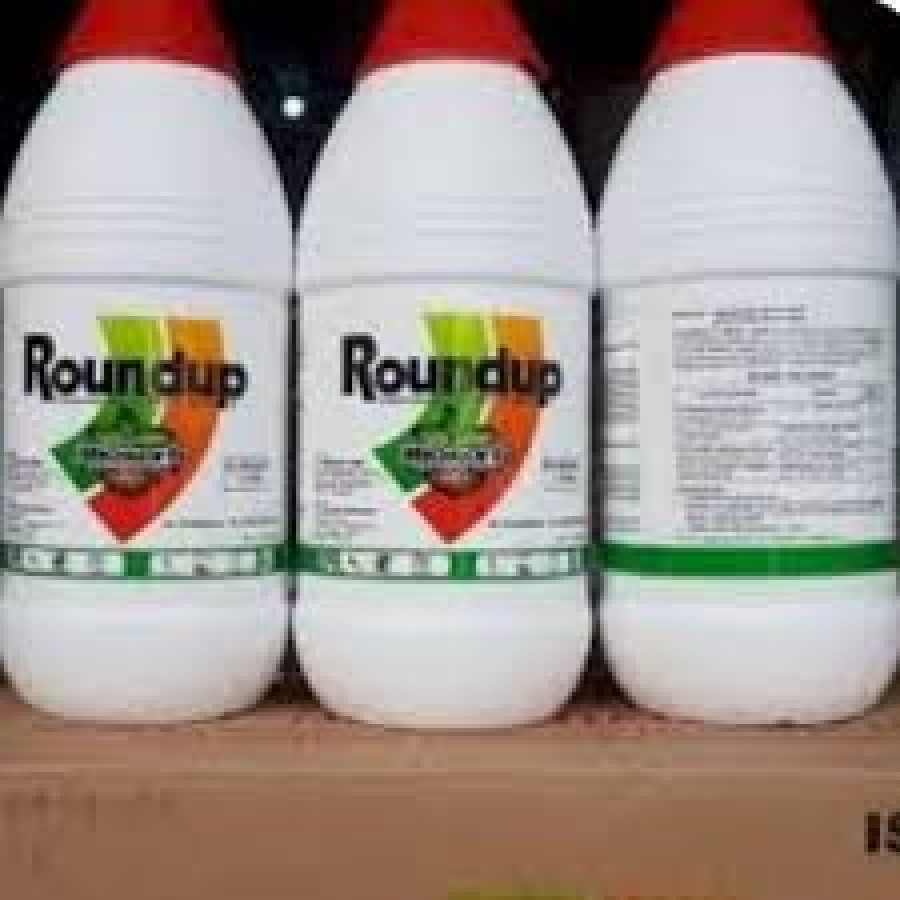 Racun Pembasmi Rumput Roundup