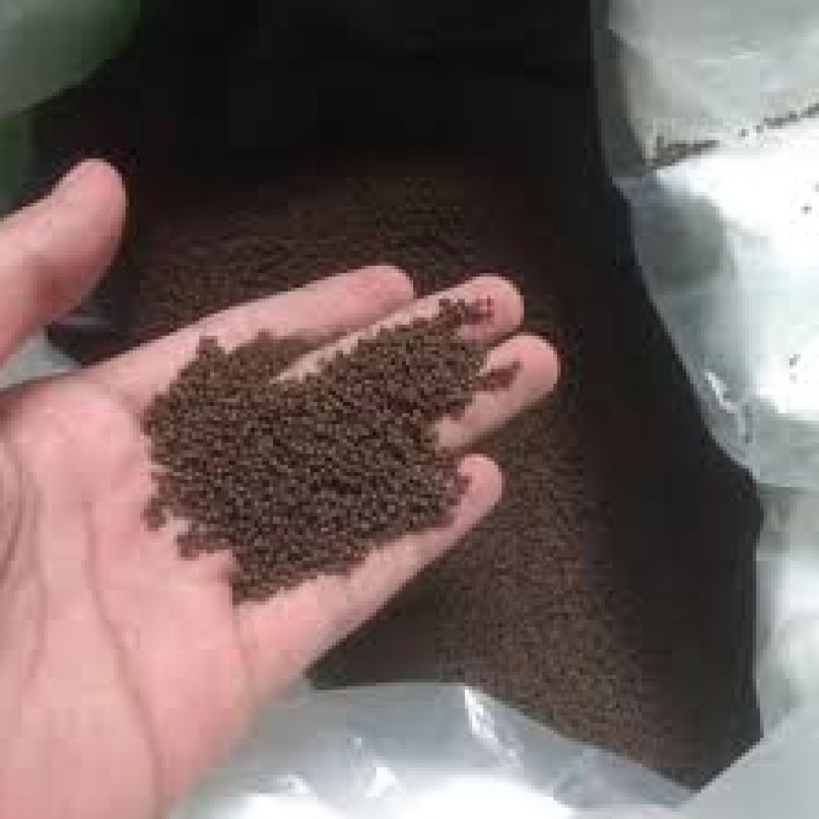 Pelet Kecil