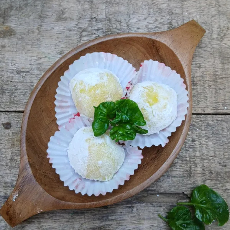 Paket Pelatihan Olahan Makanan dari Bahan Dasar Buah Mangga dan Nangka - utama