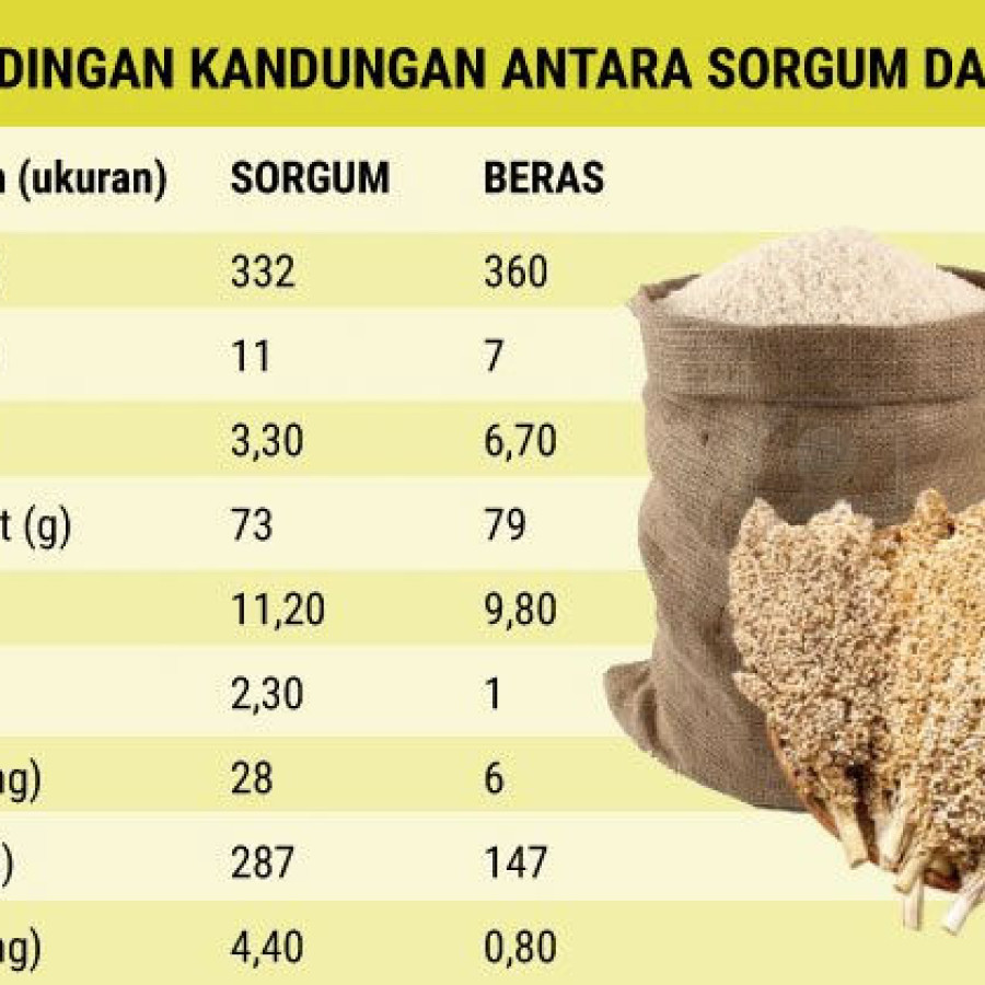 Beras Sorghum Vaccum 1 Kg,  ( 2,5 kg, 5 kg dan 0,5 kg) - detail