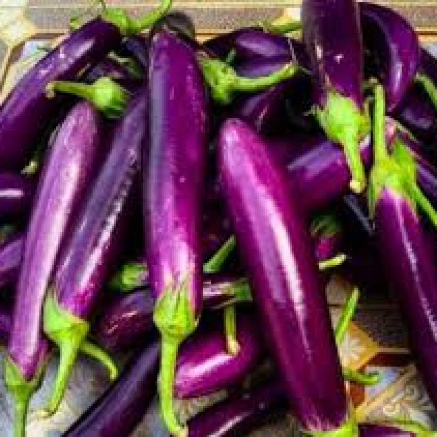 Sayur Terong