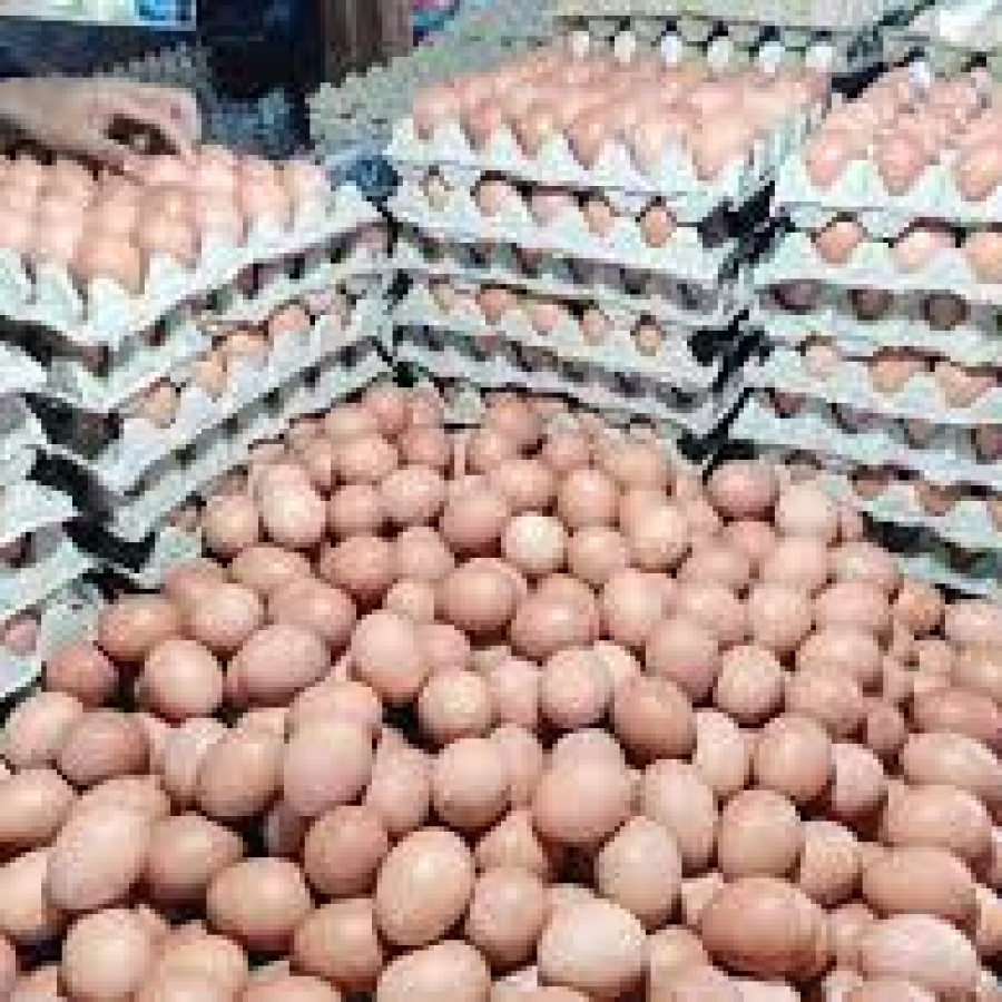 Telur Ayam