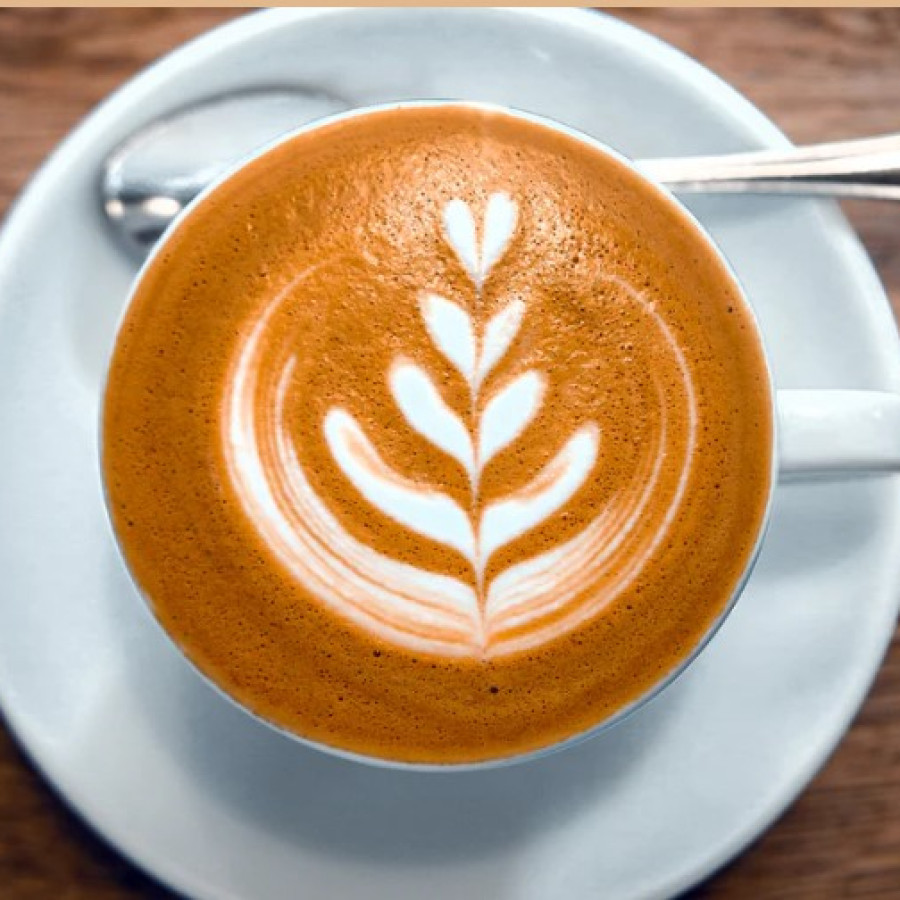 Bahan Pelatihan Barista - depan