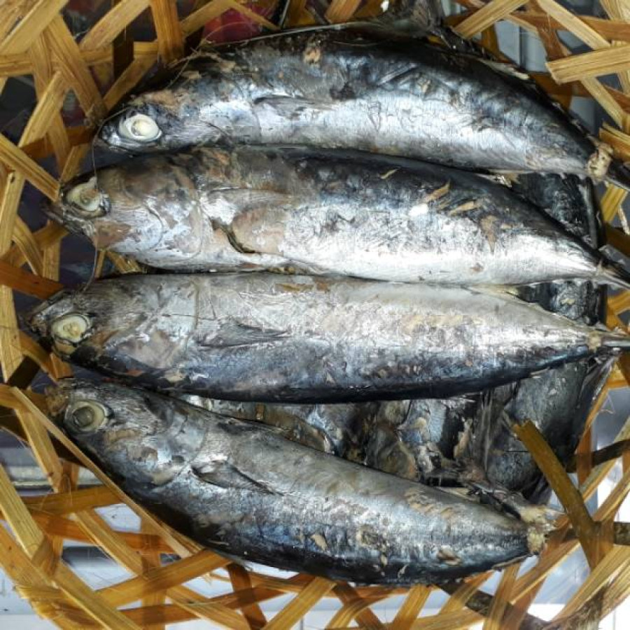 IKAN PINDANG SATUAN