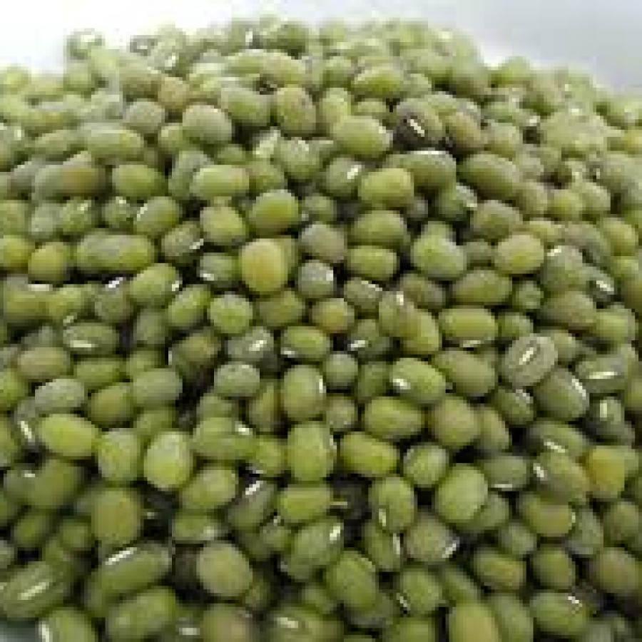 Kacang Hijau