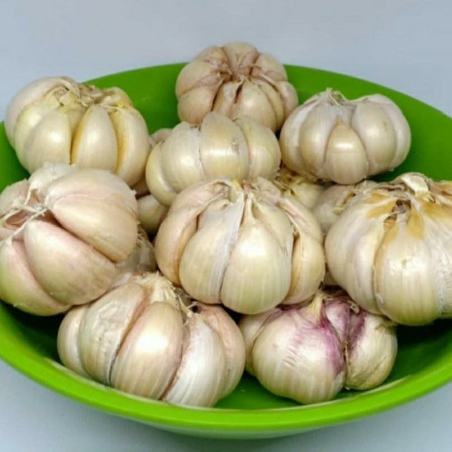 Bawang Putih