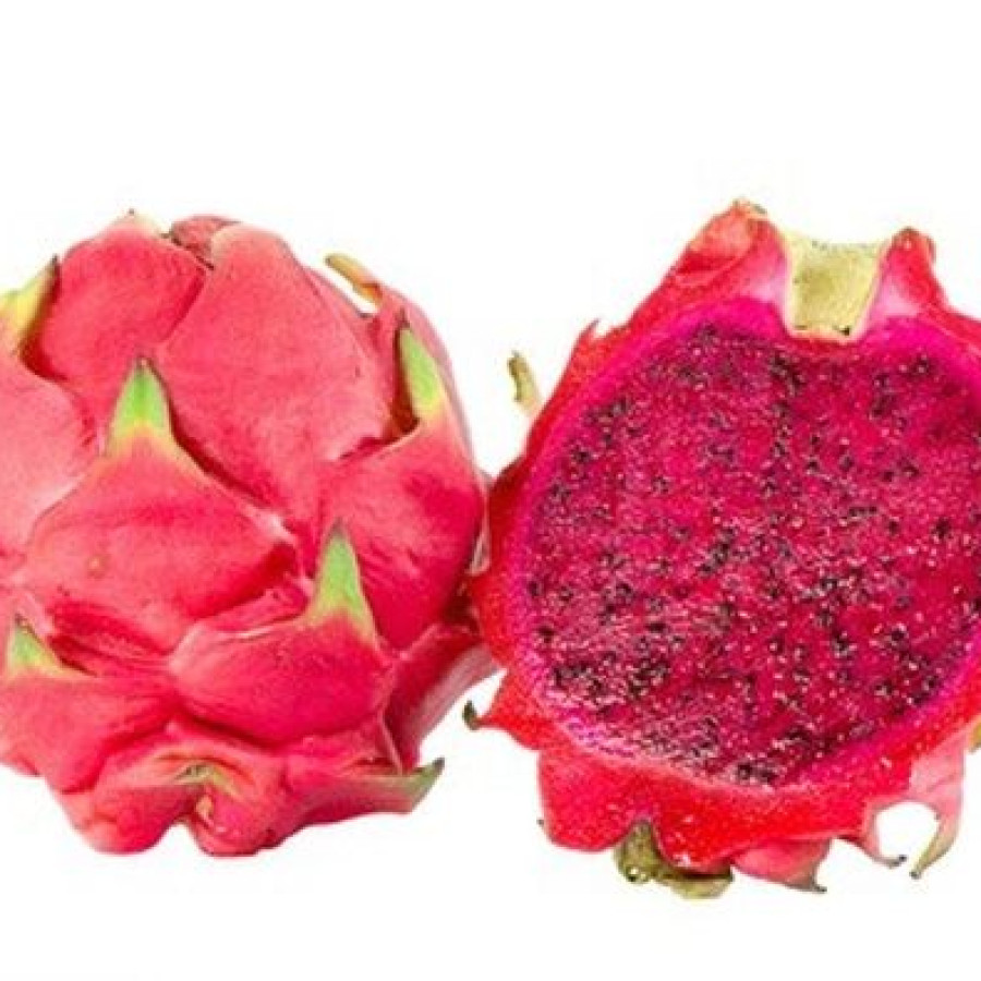 Buah Naga Segar - utama
