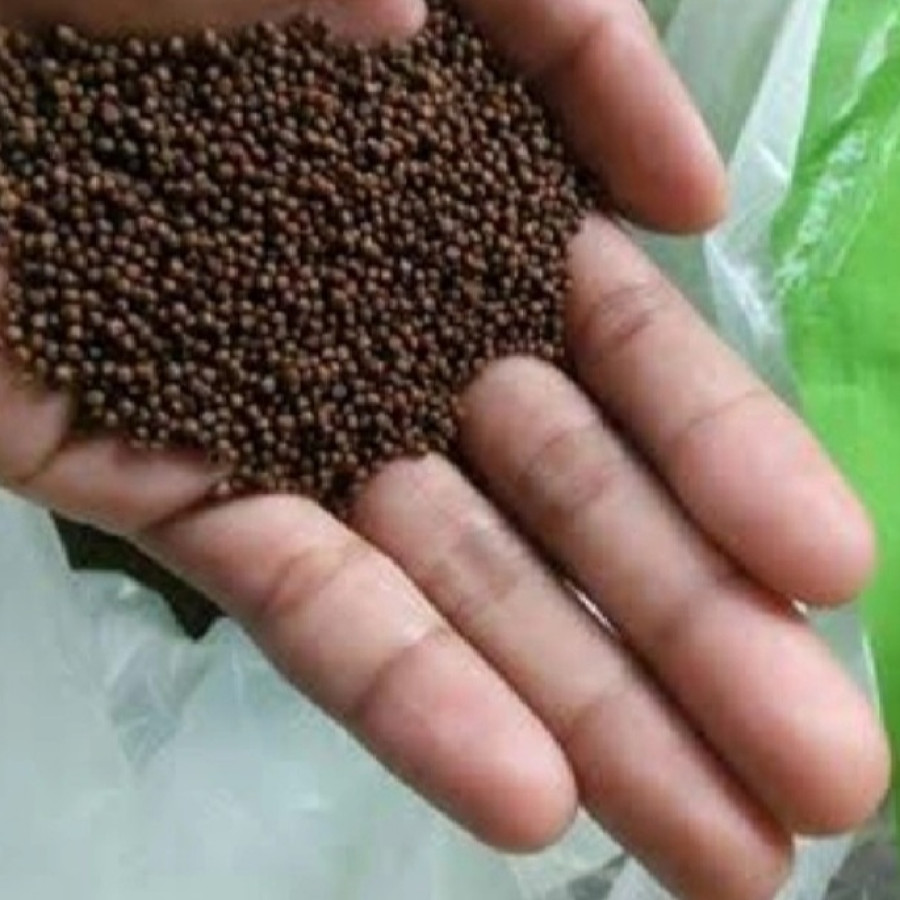 Pakan Makanan Ikan MS PRIMA FEED PF1000 @10 Kg  / Repack 1 Kg - depan