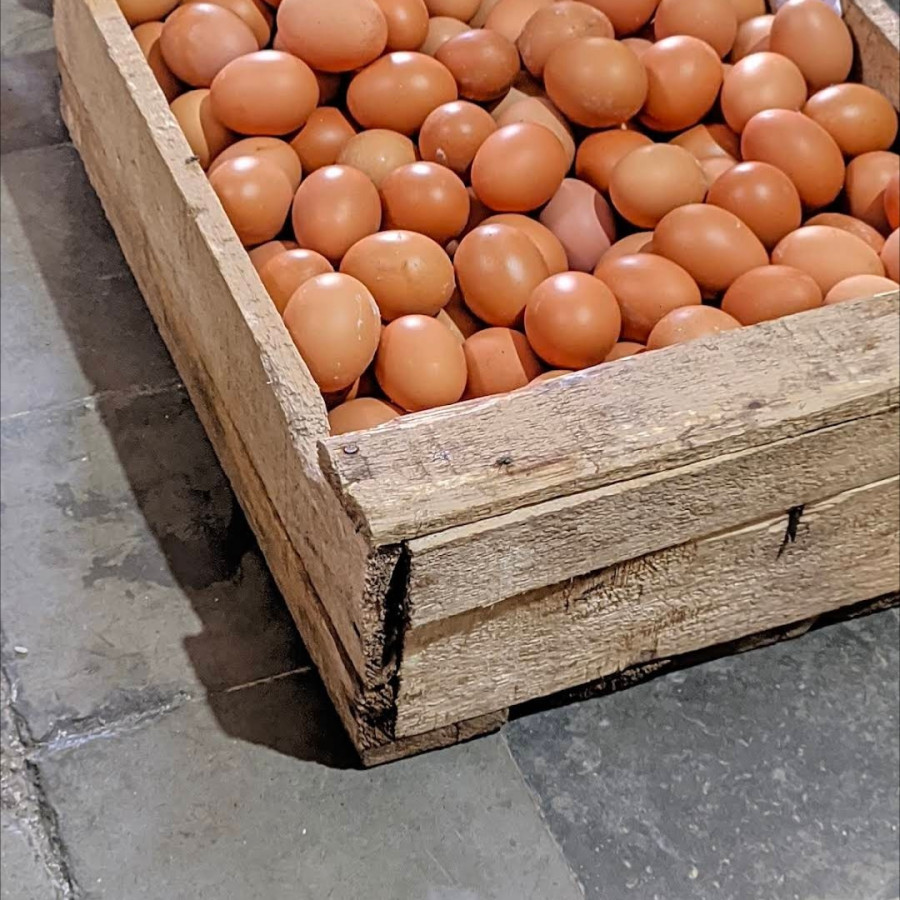 Telur lokal per kg - utama