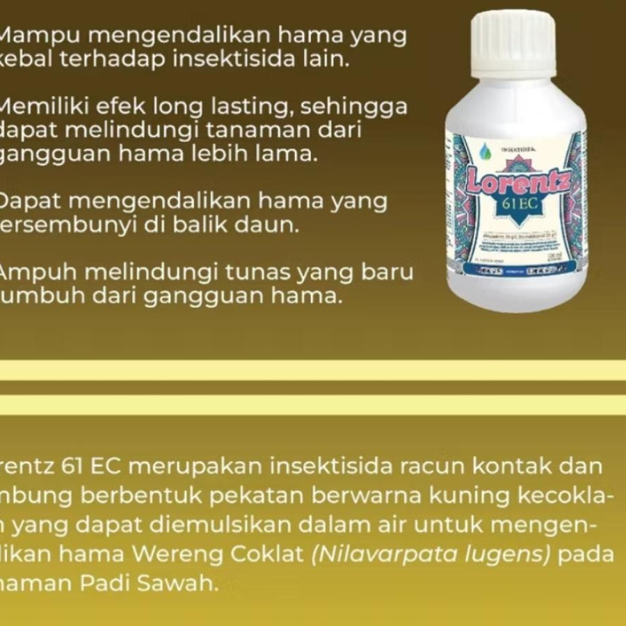 LORENT 61EC - depan