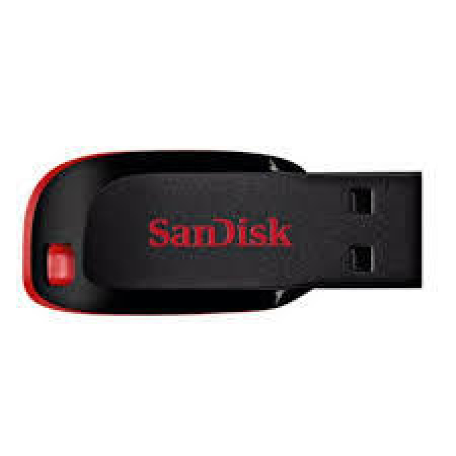 Flashdisk Sandisk 256 G