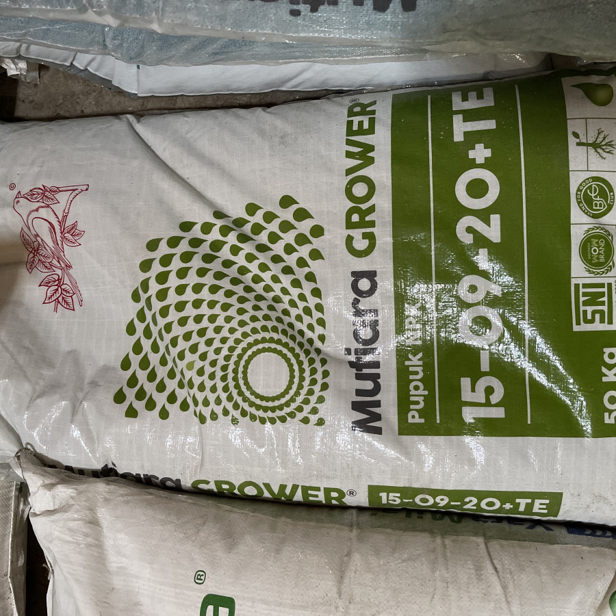 NPK Mutiara Grower 50kg
