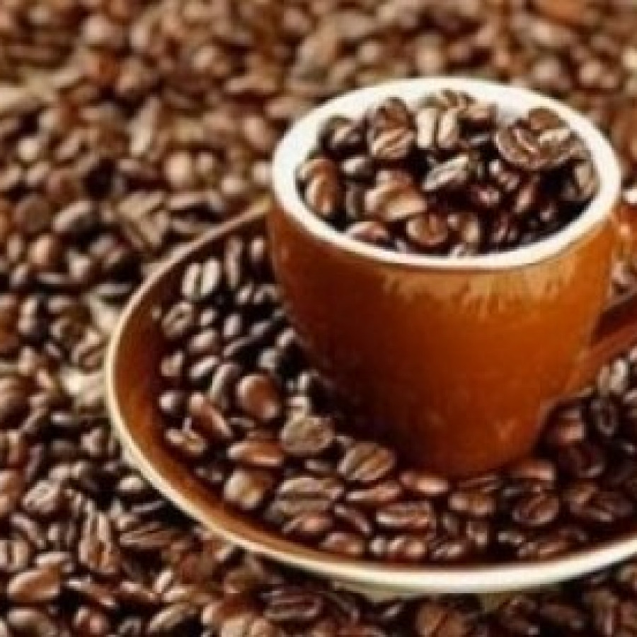 Kopi robusta kab semarang - utama