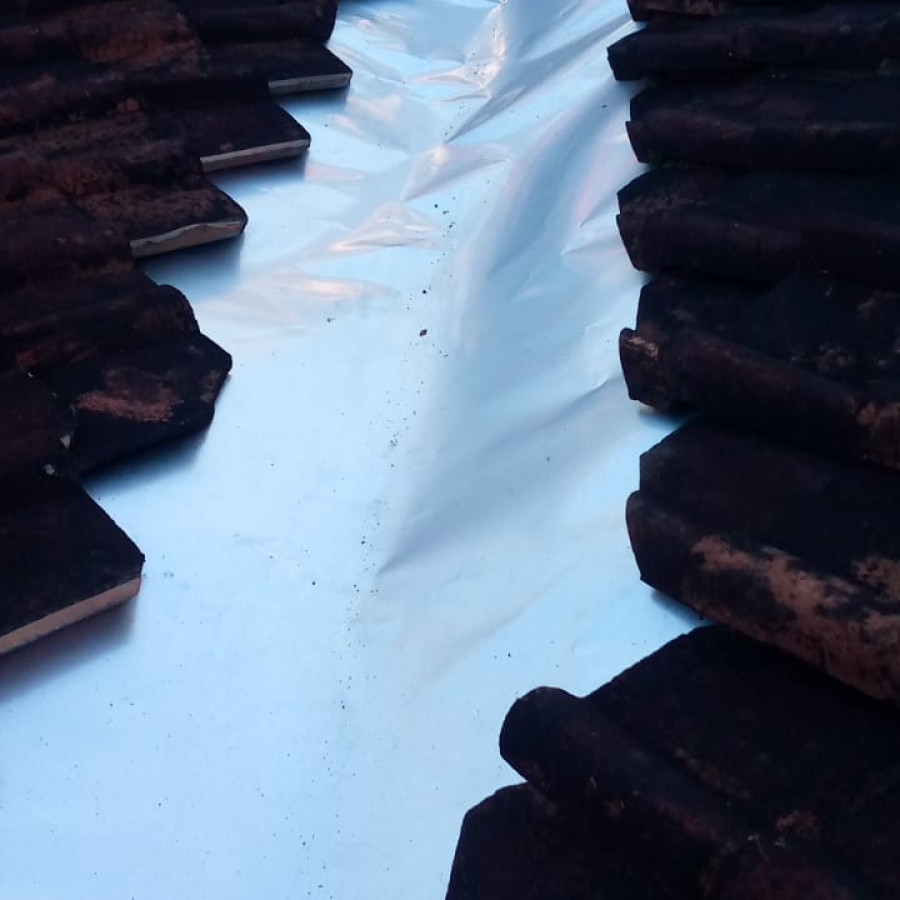 talang seng - depan