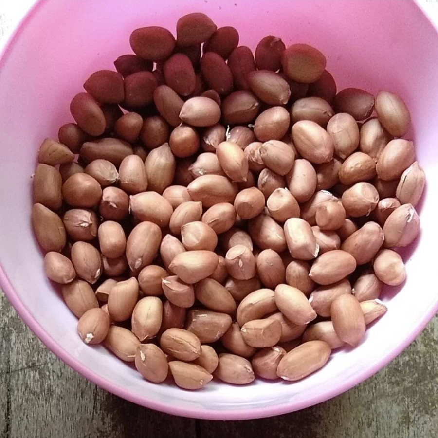 Kacang tanah