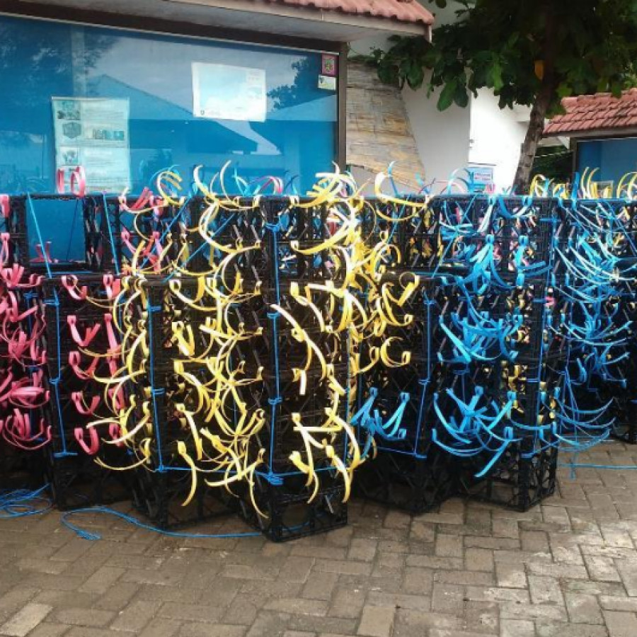 Modul Rumah Ikan - samping