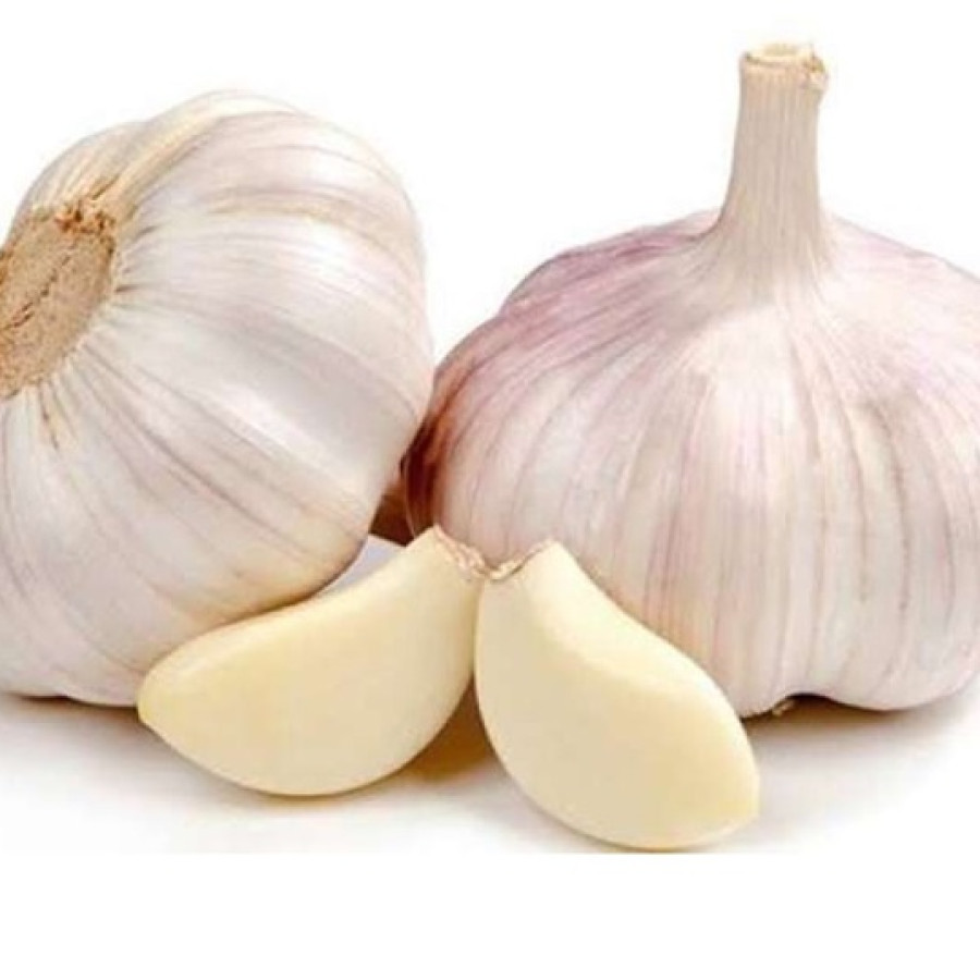 Bawang putih