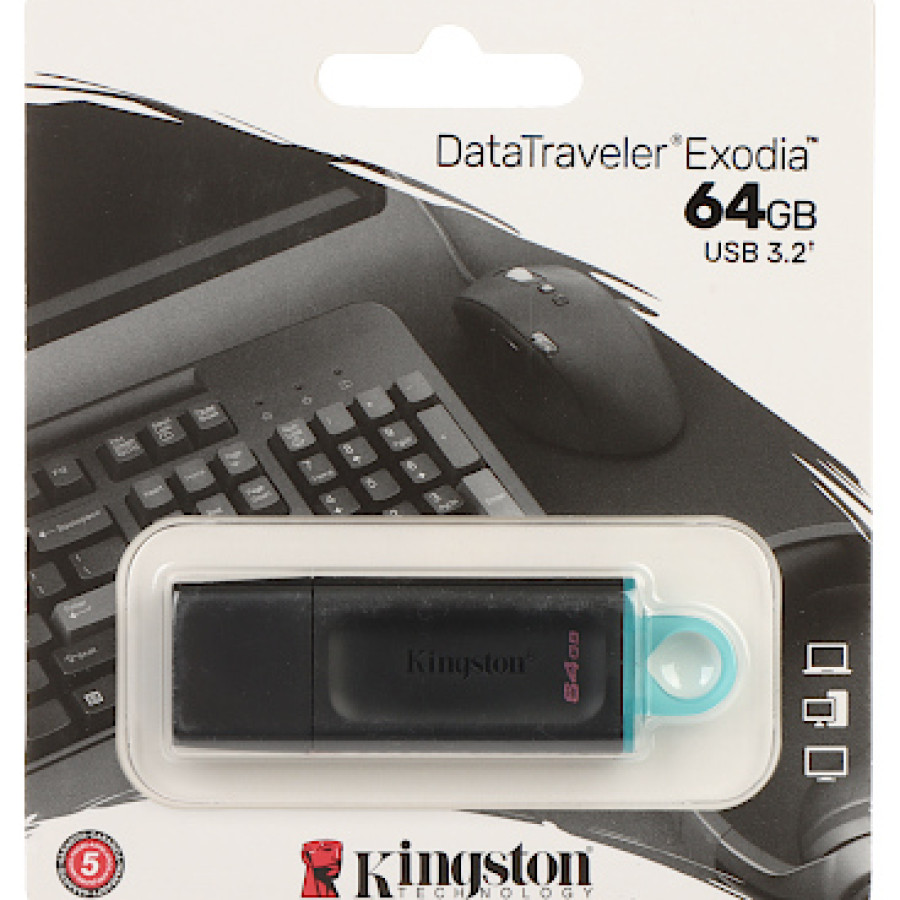 FLASHDISK KINGSTON 64GB