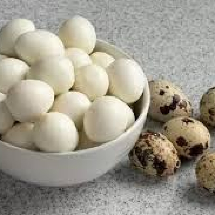 Telur Puyuh