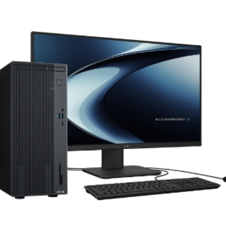 ASUS P500MV-3850181WS (On Site Service)