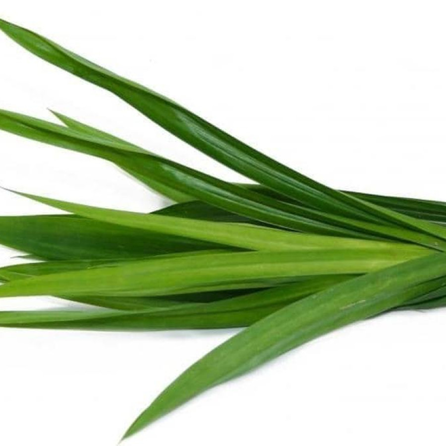 DAUN PANDAN PER IKAT