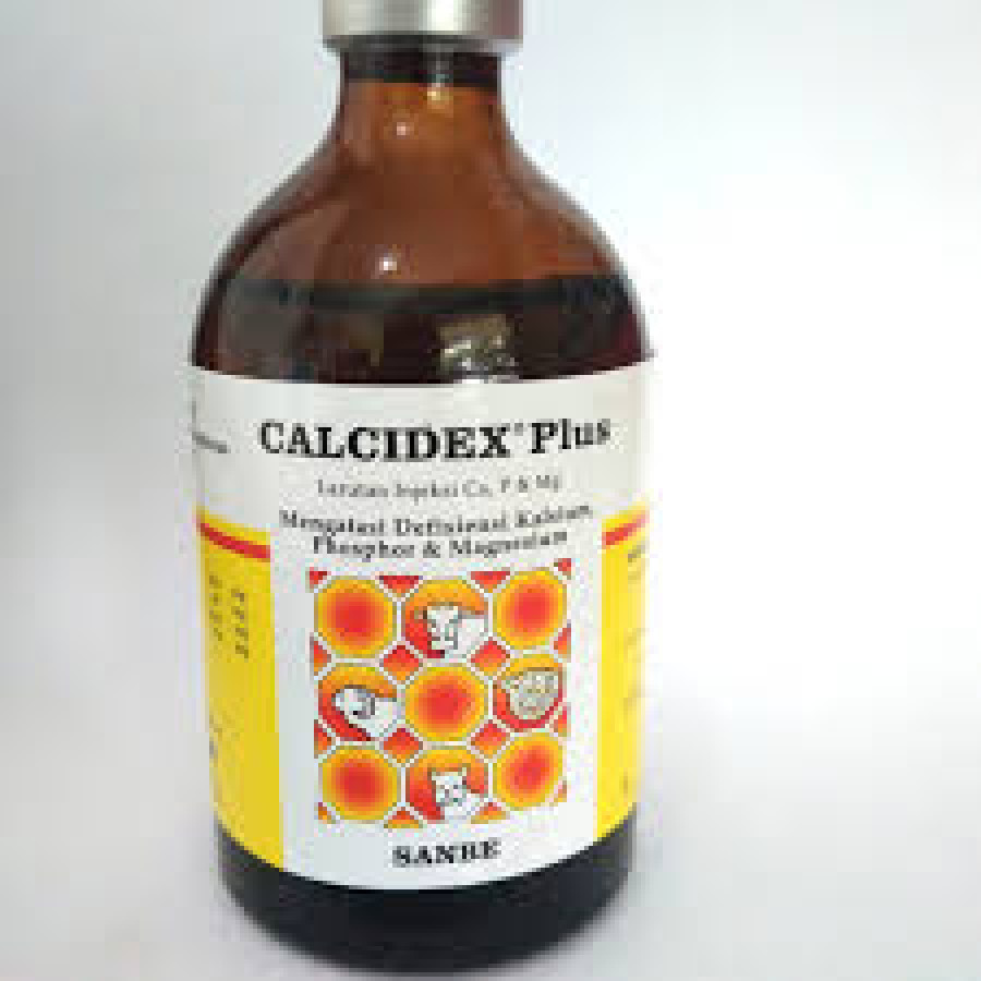 CALSIDEX PLUS SANBE