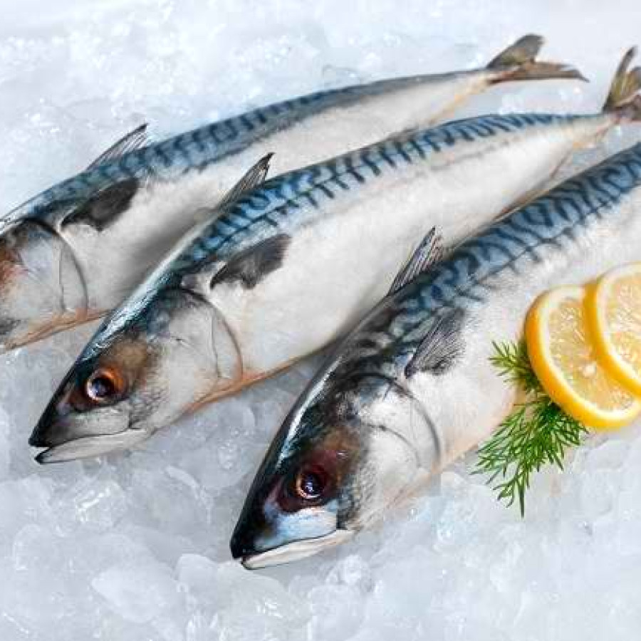 Ikan Tongkol 3 Ekor/Kg