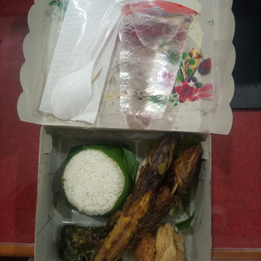 Nasi Lele Goreng
