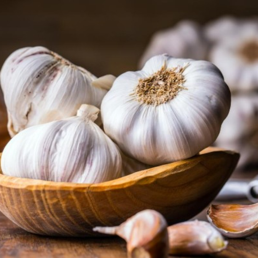 Bawang Putih