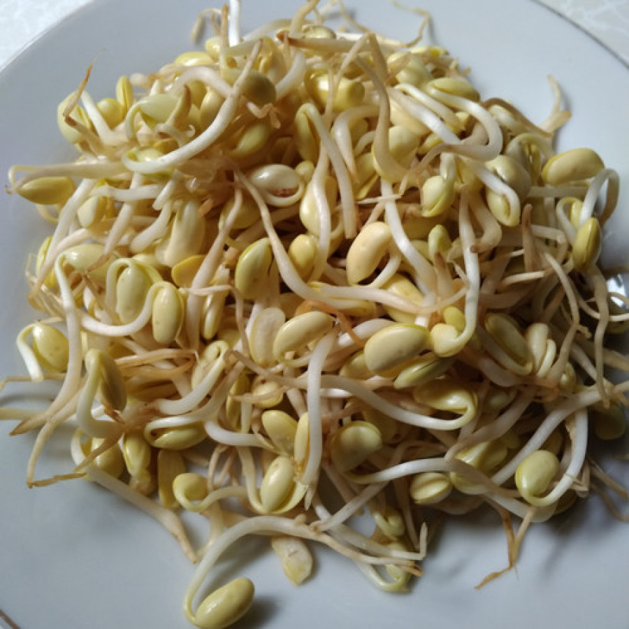 Sayur Taoge