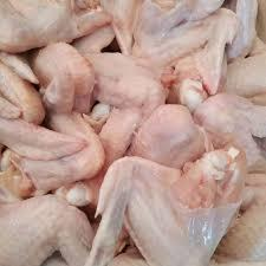 Ayam Sayap