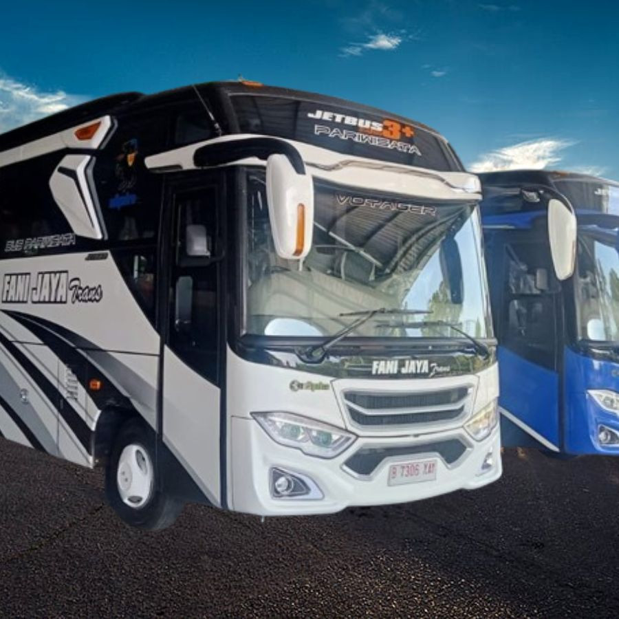 P. DROP BUS MEDIUM - utama