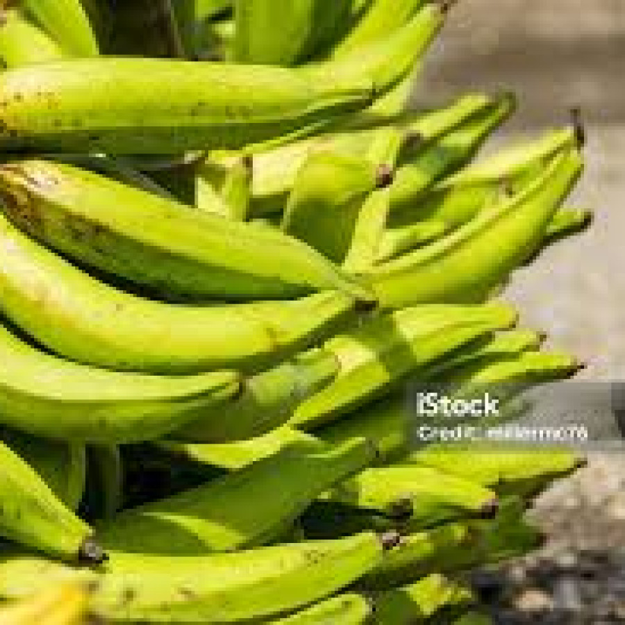 pisang raja ijo