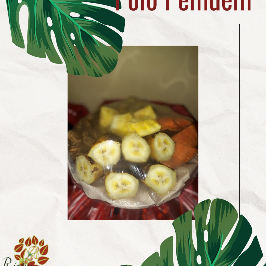 POLO PENDEM