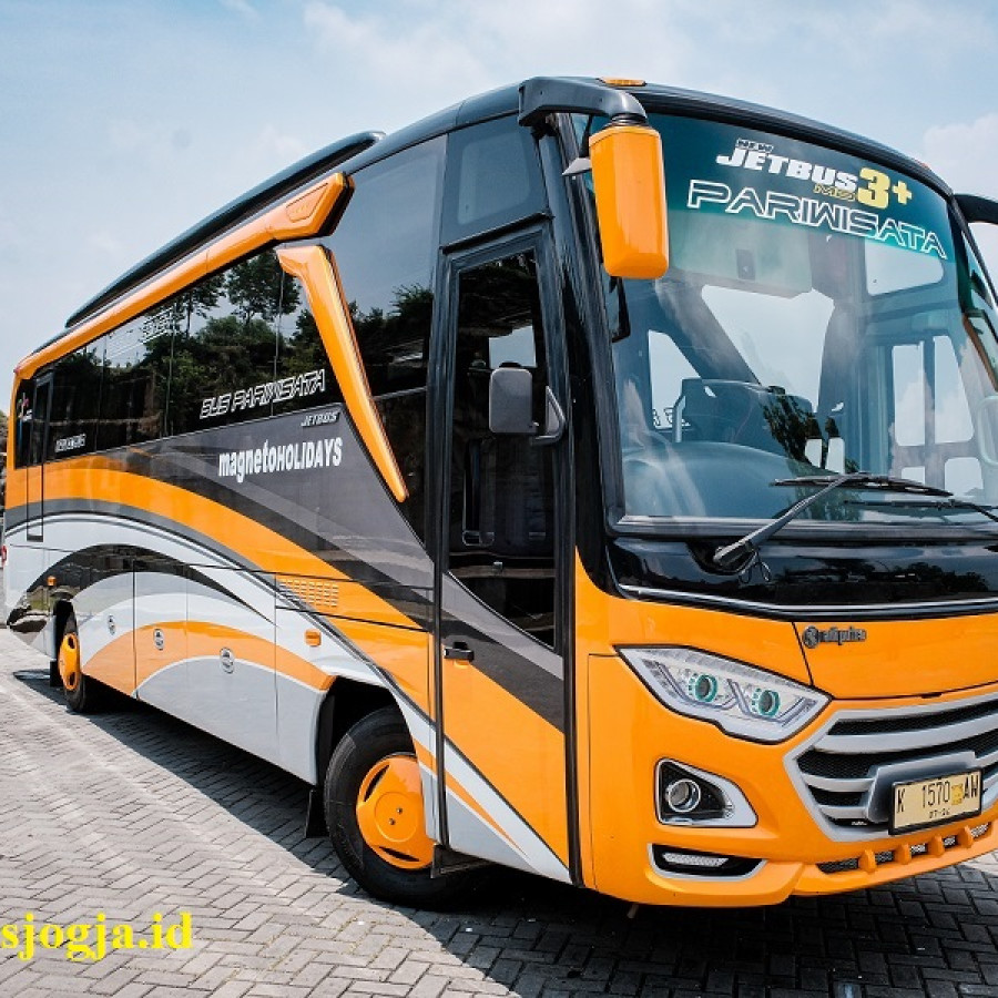 BUS MEDIUM SEAT 30 PERSON 1 HARI