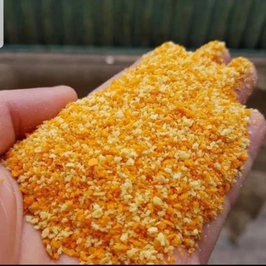 tepung panir